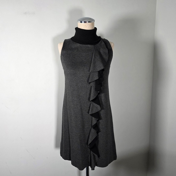 Melissa Nepton Gray Sleeveless Ruffled Mini Dress Size Small - Picture 8 of 8